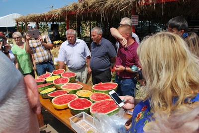 Лучшие бахчеводы Ставропольского края представили свою продукцию