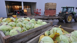 На Ставрополье увеличат объём овощехранилищ до 142 тысяч тонн