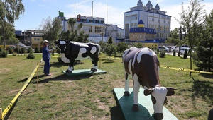 Производство молока на Ставрополье к 2020 году увеличится на 30 тысяч тонн в год