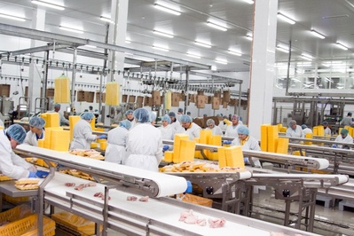 ЗАО «Ставропольский бройлер» разрешен допуск к экспорту мяса птицы на Кубу