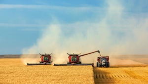 На Ставрополье собрали первый миллион тонн зерна в 2018 году