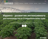 Ипатовский картофель прославился на всю Россию.