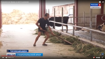 В Ставропольском крае на месте развалин колхозного комплекса появилась современная молочная ферма
